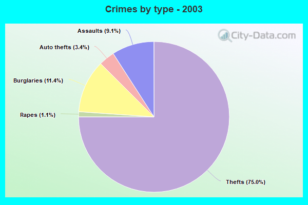 Crimes by type - 2003