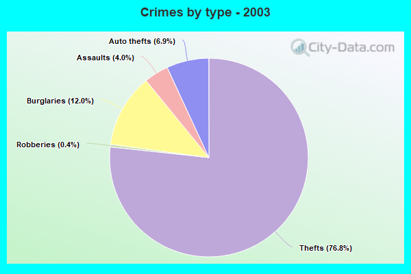 Crimes by type - 2003
