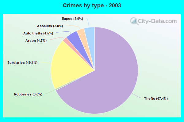 Crimes by type - 2003