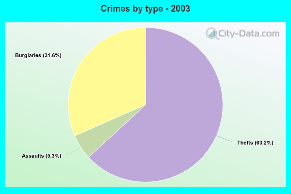 Crimes by type - 2003