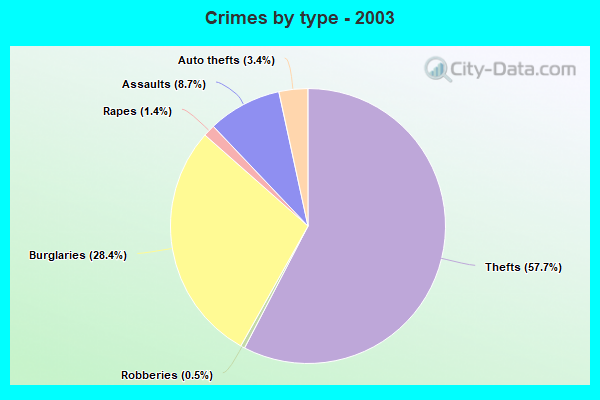 Crimes by type - 2003