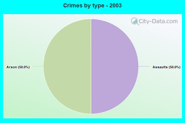 Crimes by type - 2003