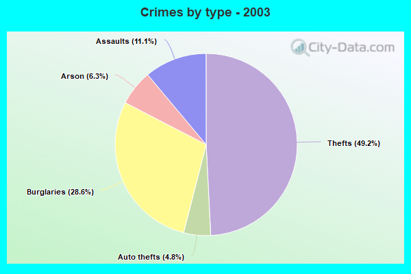 Crimes by type - 2003