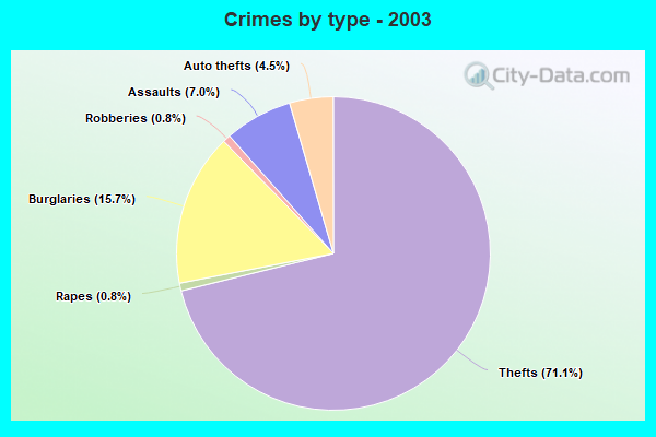 Crimes by type - 2003