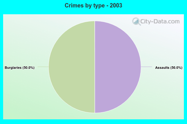 Crimes by type - 2003