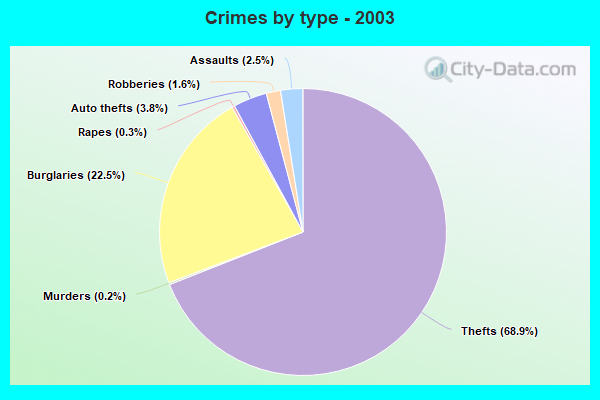 Crimes by type - 2003