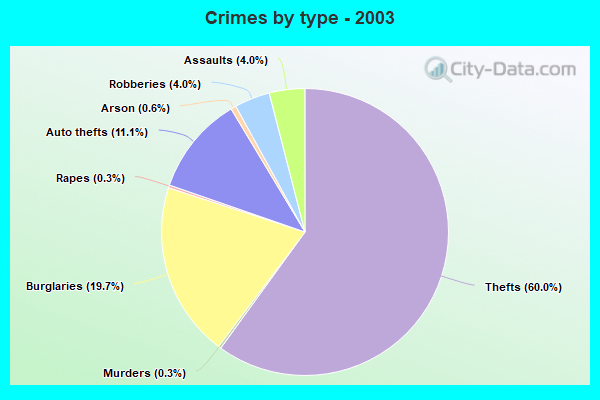 Crimes by type - 2003