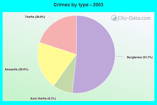 Crimes by type - 2003