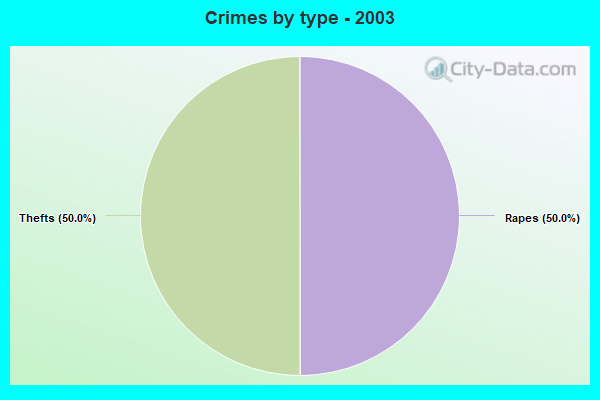 Crimes by type - 2003