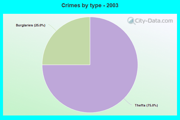 Crimes by type - 2003