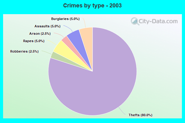 Crimes by type - 2003