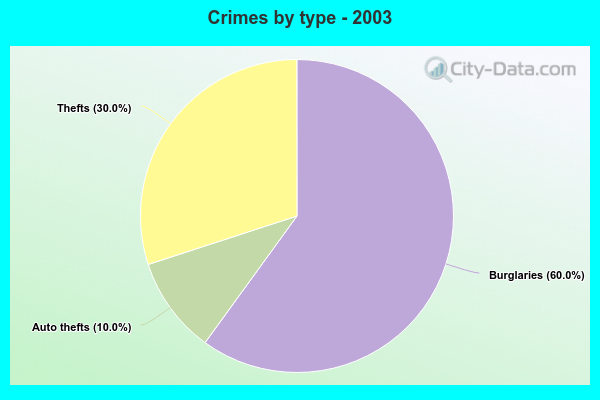 Crimes by type - 2003