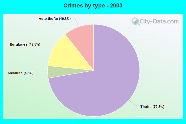 Crimes by type - 2003