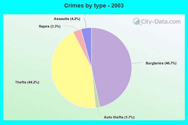 Crimes by type - 2003