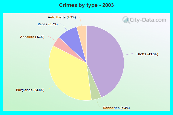 Crimes by type - 2003