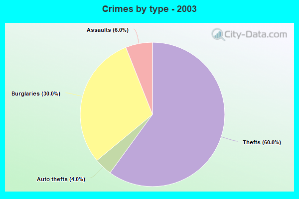 Crimes by type - 2003