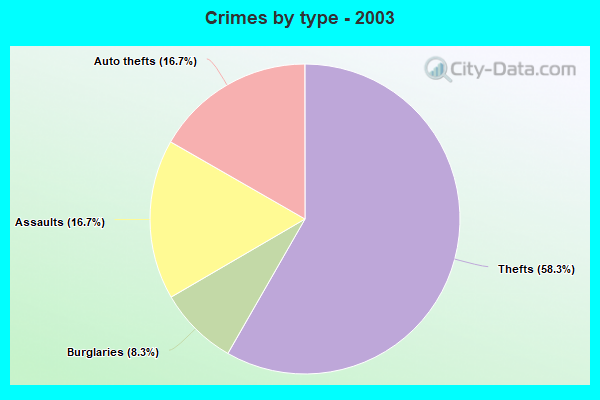 Crimes by type - 2003