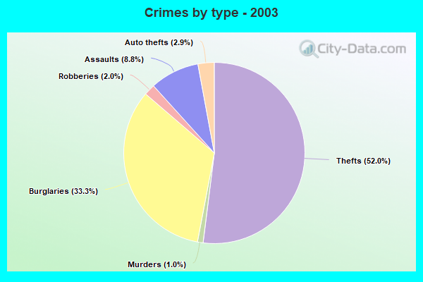 Crimes by type - 2003