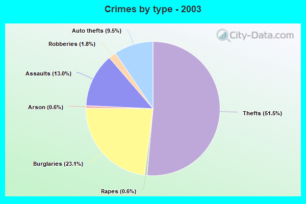 Crimes by type - 2003