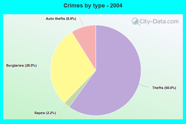 Crimes by type - 2004