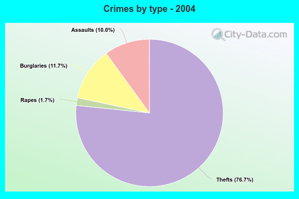 Crimes by type - 2004