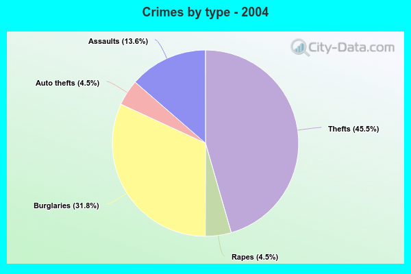 Crimes by type - 2004