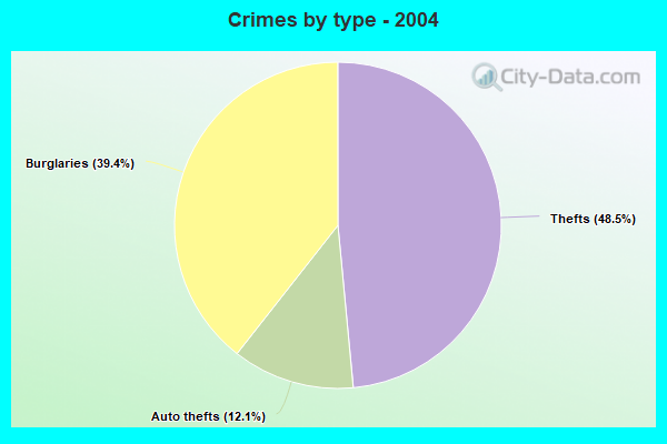 Crimes by type - 2004