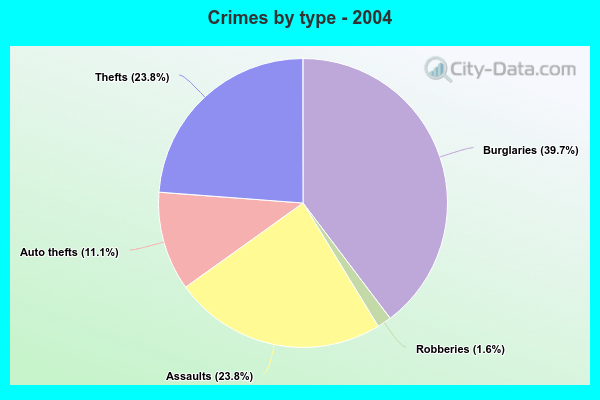 Crimes by type - 2004