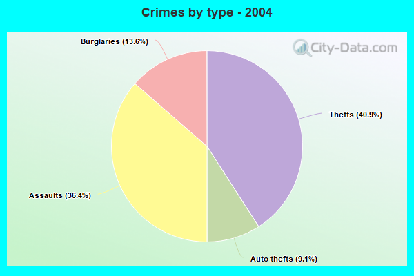 Crimes by type - 2004