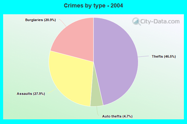 Crimes by type - 2004