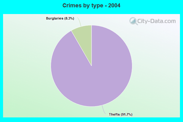 Crimes by type - 2004