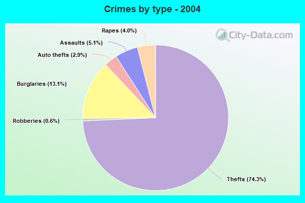 Crimes by type - 2004