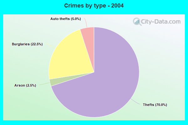 Crimes by type - 2004