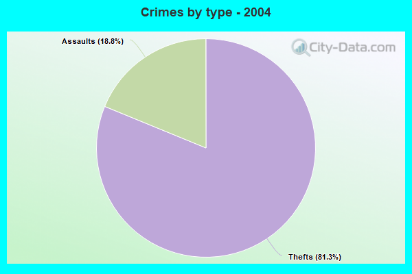 Crimes by type - 2004