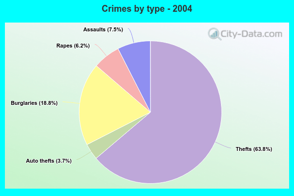 Crimes by type - 2004