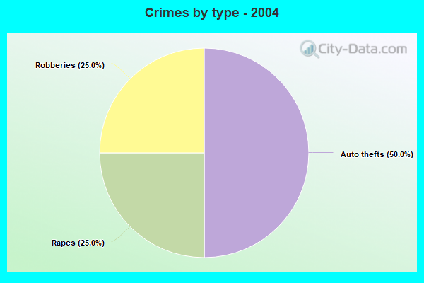 Crimes by type - 2004