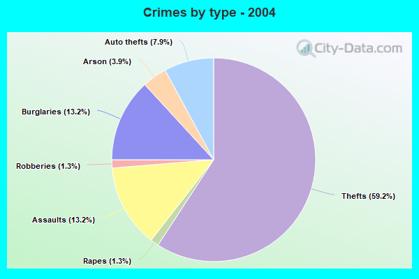 Crimes by type - 2004