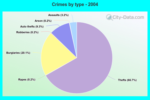 Crimes by type - 2004