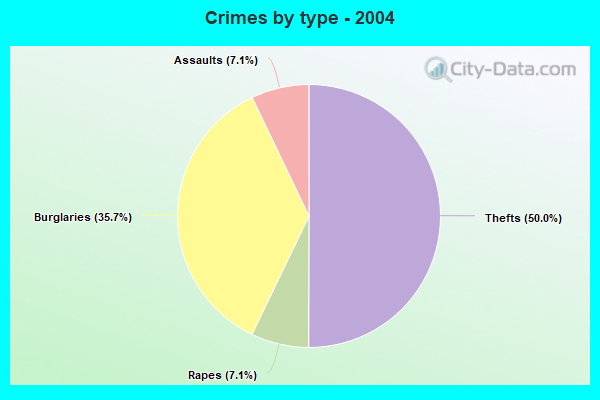 Crimes by type - 2004