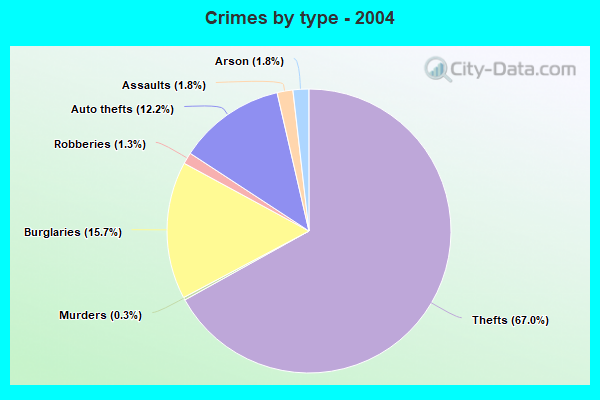 Crimes by type - 2004