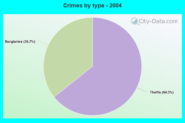 Crimes by type - 2004