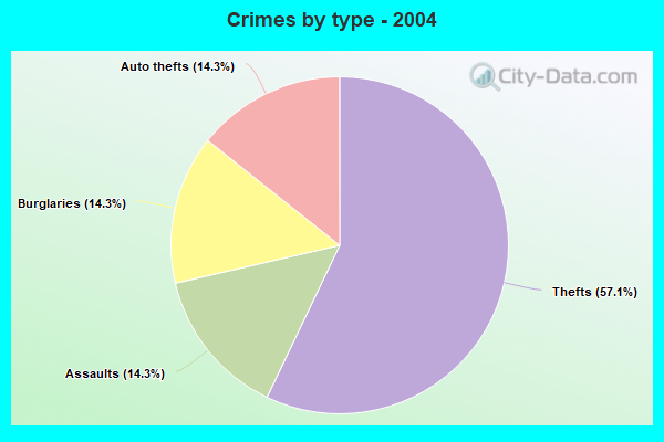 Crimes by type - 2004