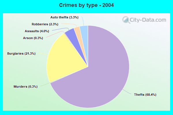 Crimes by type - 2004