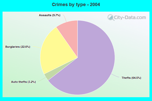 Crimes by type - 2004