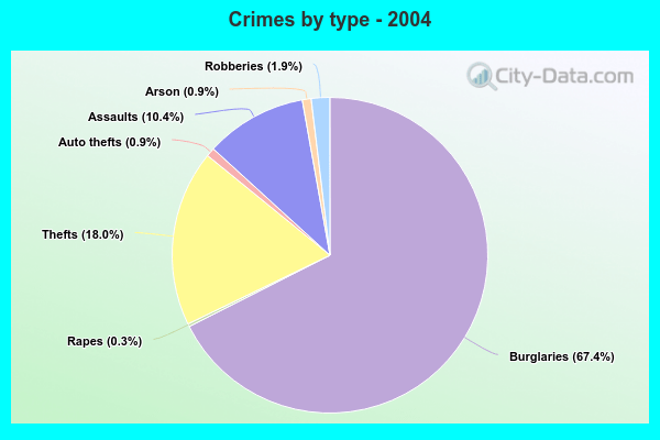 Crimes by type - 2004