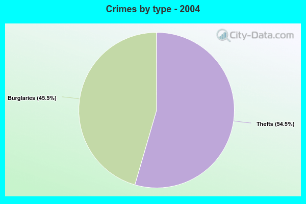 Crimes by type - 2004