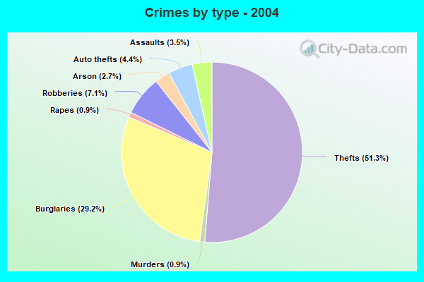 Crimes by type - 2004