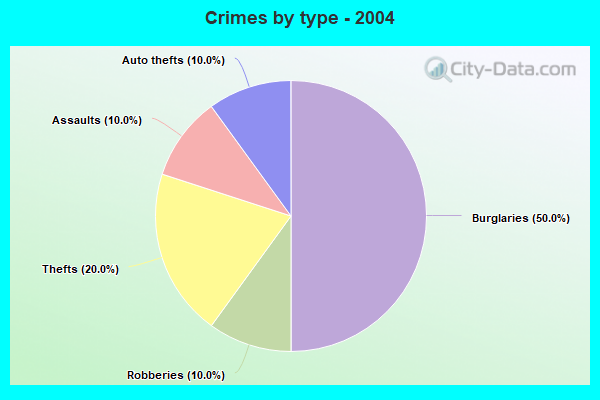 Crimes by type - 2004