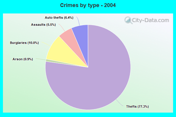 Crimes by type - 2004