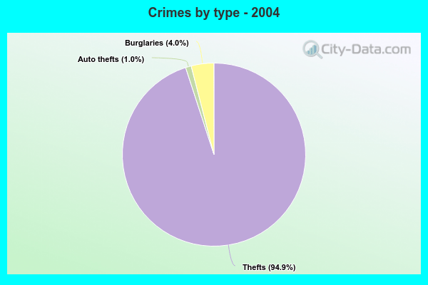 Crimes by type - 2004